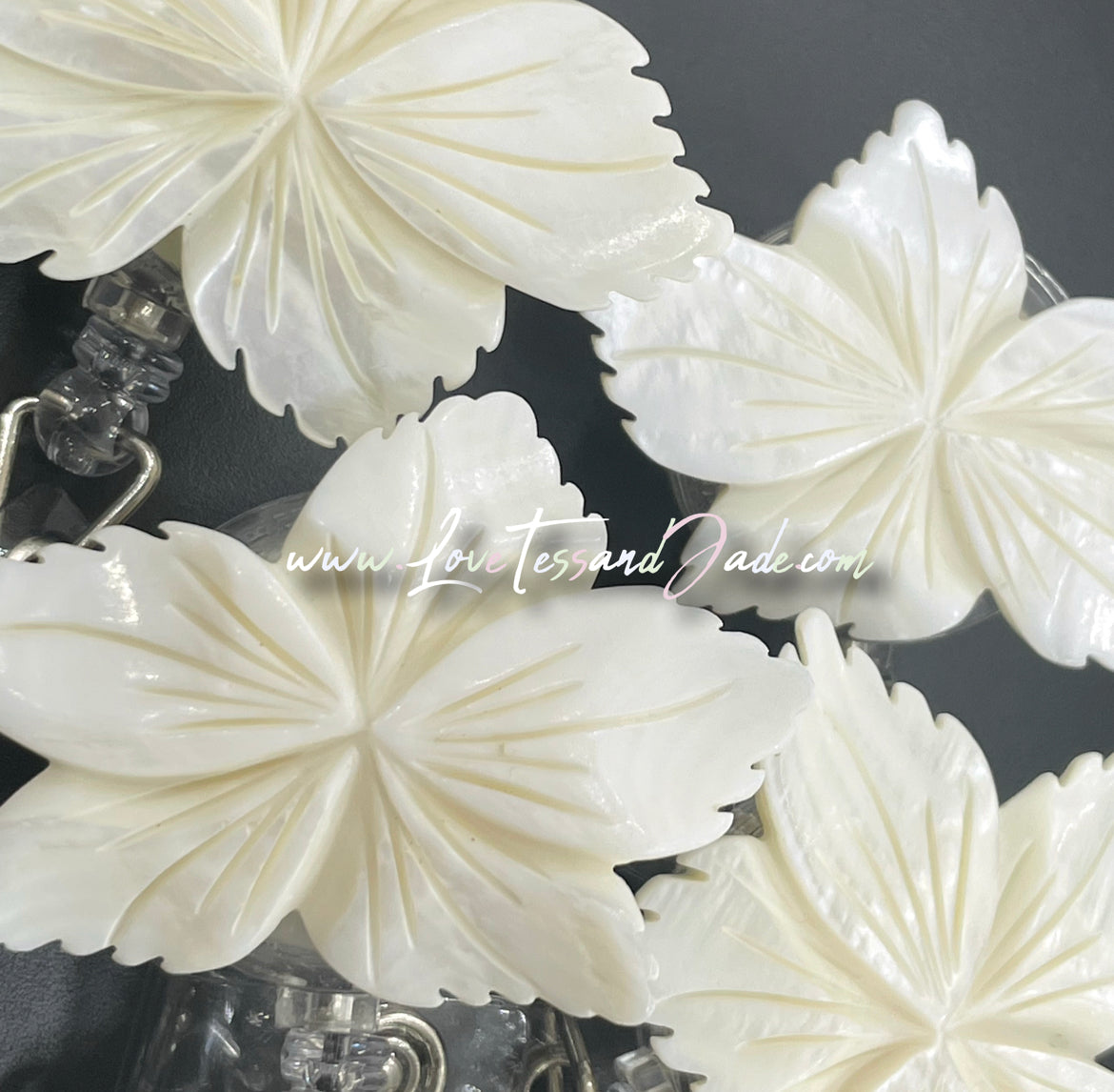 Natural | Freshwater | Shell | White | Flower | Badge | Rotating Clip | Reel | Doctors | Nurses | Professional | Graduates | Gifts